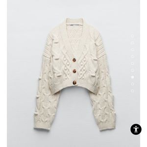 Zara Cable-Knit Sweater